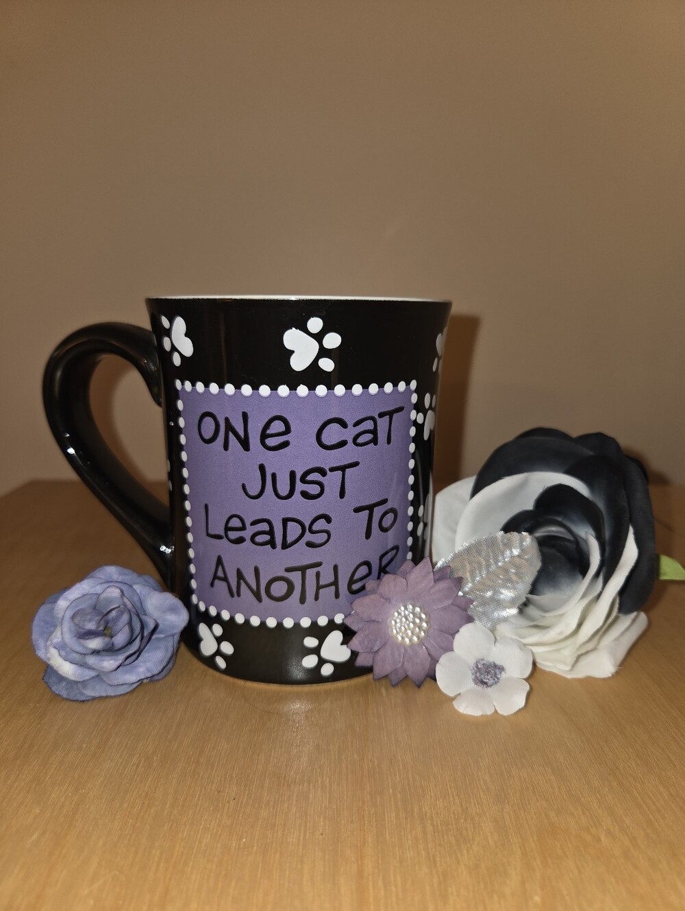⭐️ HOST PICK ⭐️ Crazy Cat Lady Coffee Mug - Picture 2 of 4
